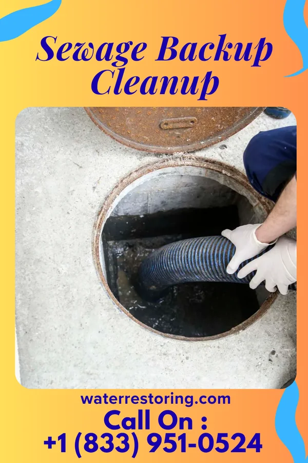 Sewage Backup Cleanup in Brookfield, MO